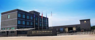 China Shaanxi Gudaofang Futea Group Co., Ltd. Perfil da companhia