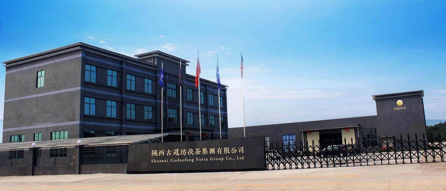 China Shaanxi Gudaofang Futea Group Co., Ltd. Perfil da companhia