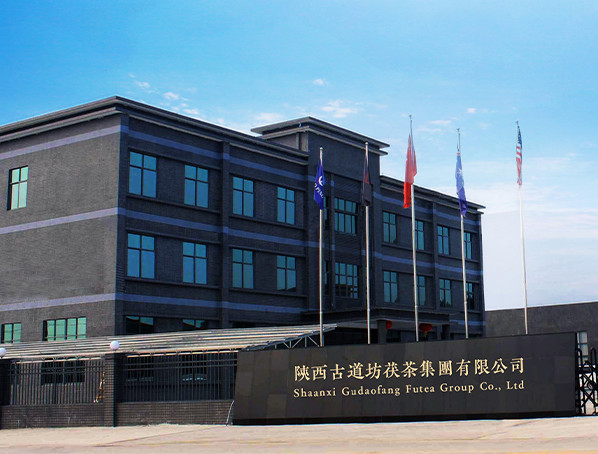 China Shaanxi Gudaofang Futea Group Co., Ltd. Perfil da companhia