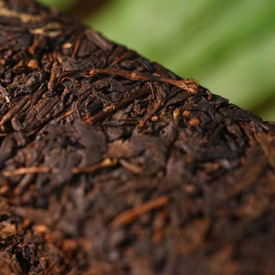 Descubra o sabor delicioso do chá chinês Jing Yang Fu Chá de tijolo Chá escuro