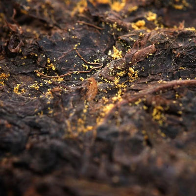Bebida de Saúde Especialidade 100% Natural Orgânico Quadrado Bolo de Chá Chá Negro Grau 1 da Shaanxi Official Tea Manufacturing