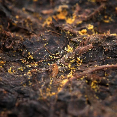 Grado 1 Chá escuro Fuzhuan tijolo 1000g Chá Fuzhuan feito à mão para o seu benefício