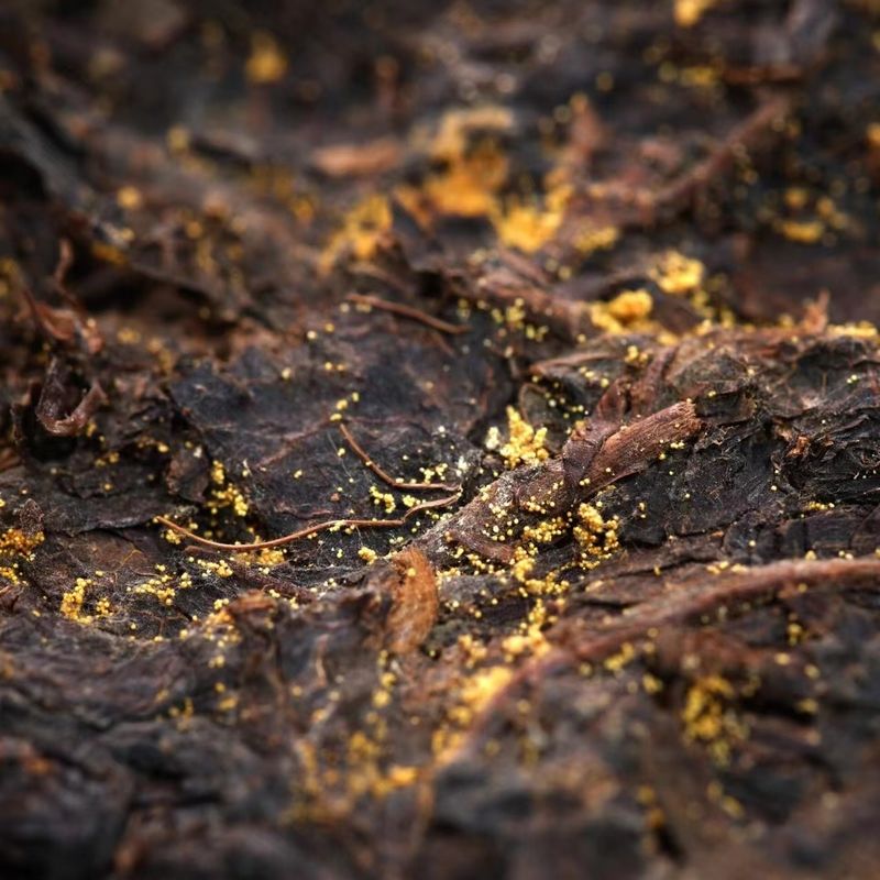 500g Official Chinese Dark Tea Chá saudável para recepção de negócios