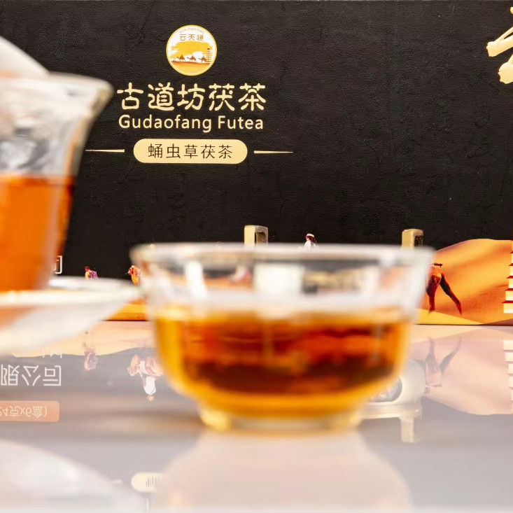 Fuzhuan Flor Dourada Chá Negro 144g para recepção de negócios